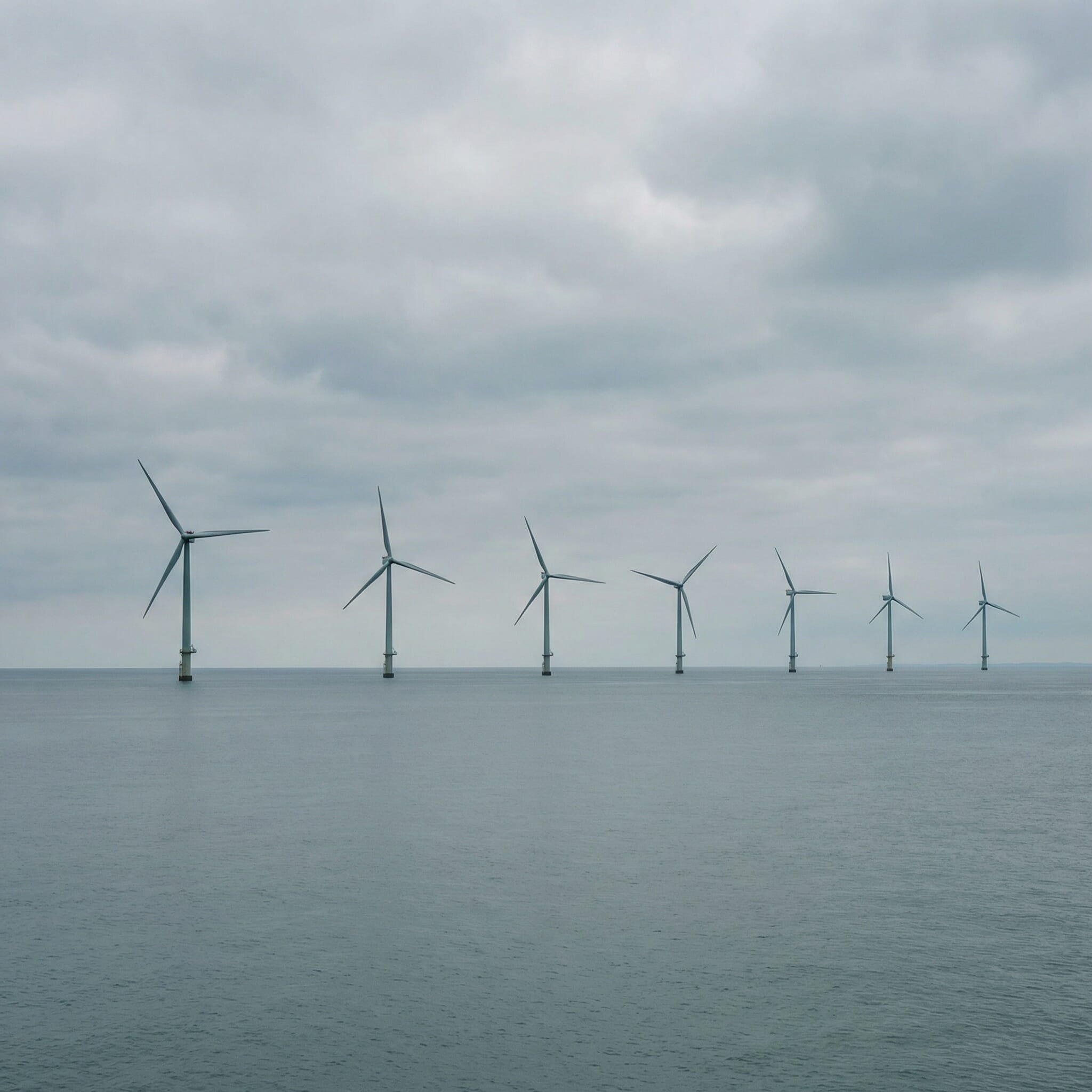 Editorial-style_photograph_of