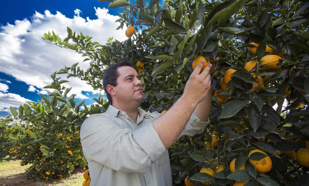 laranja-1